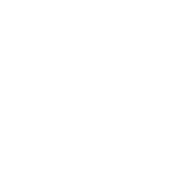 Wireframe